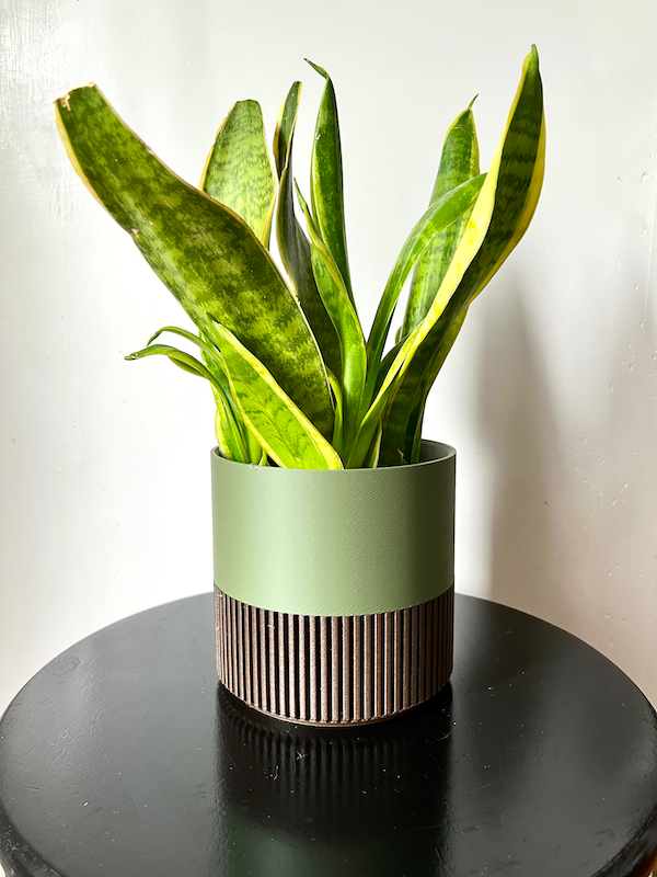 Two-Toned Cedar & Colour Plant Pot | Mid Century Inspired : White / Small