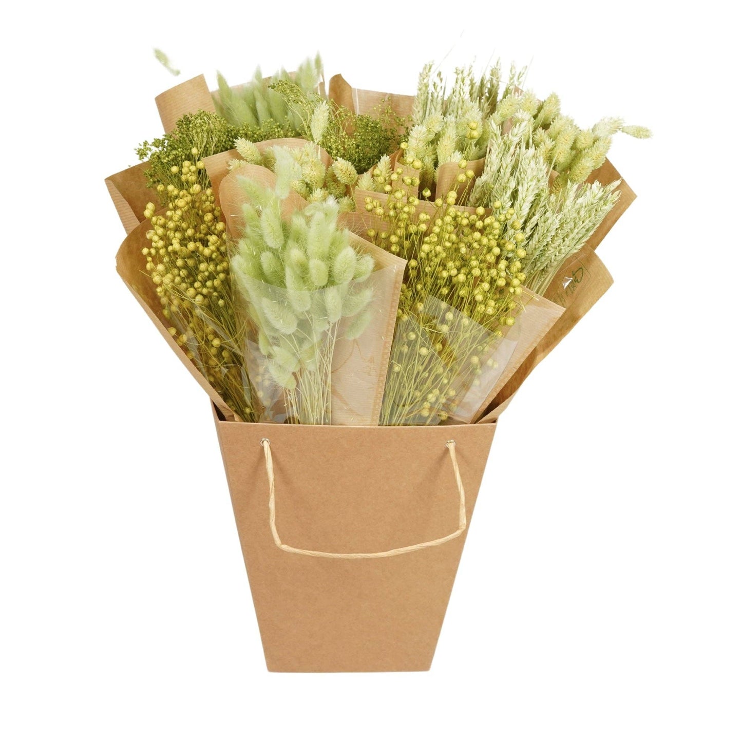 Dried Flowers Mono Bunches - Soft Lime