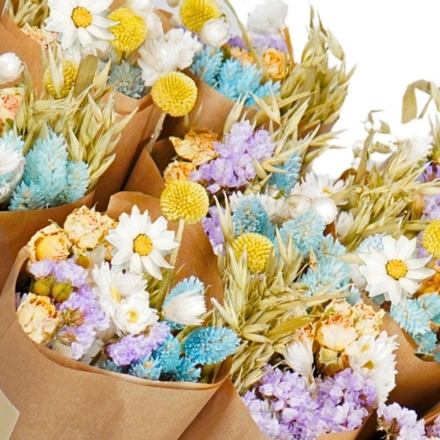 Dried Flowers Market More - Pastel Delight