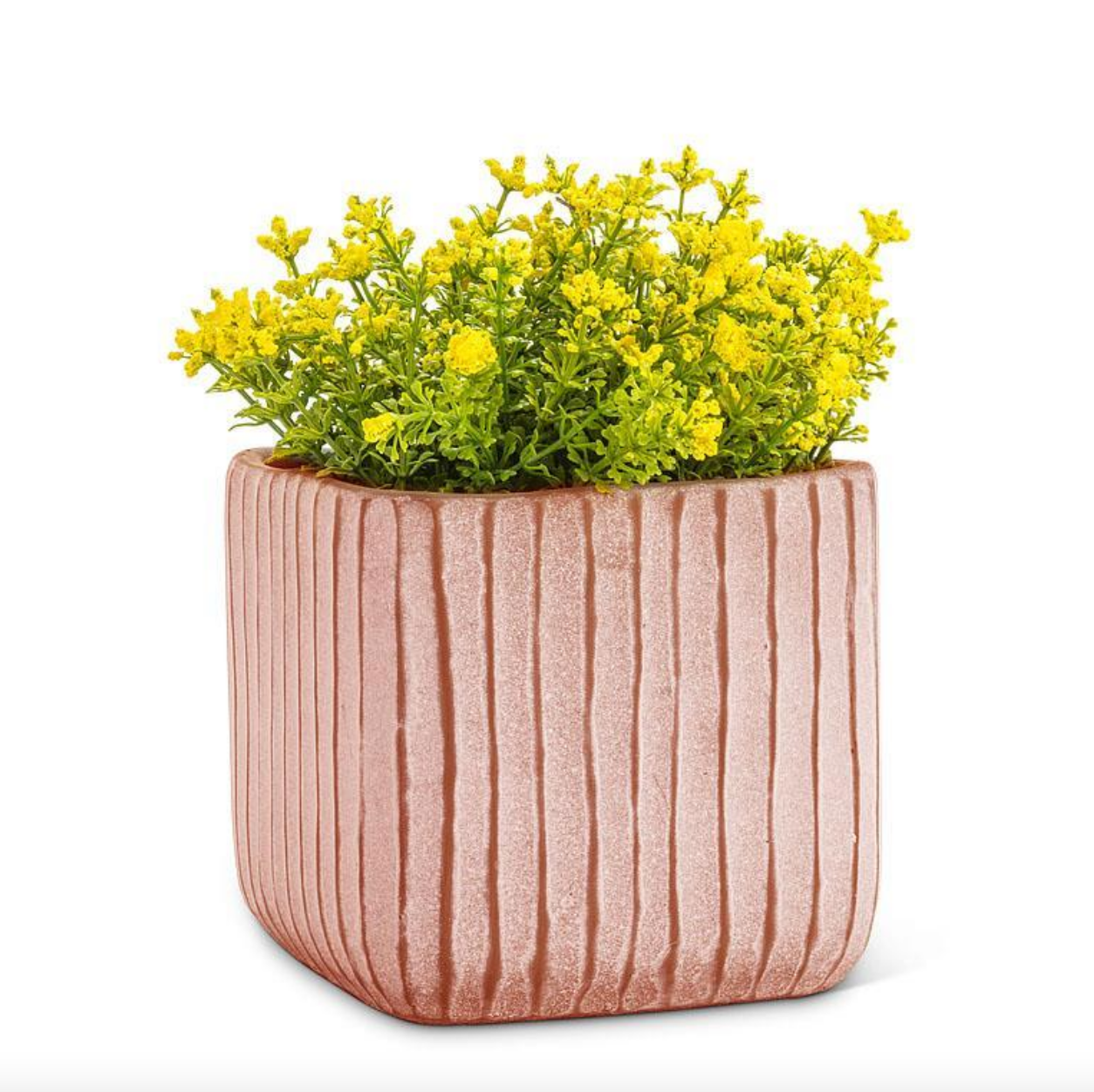 Medium Ridge Planter