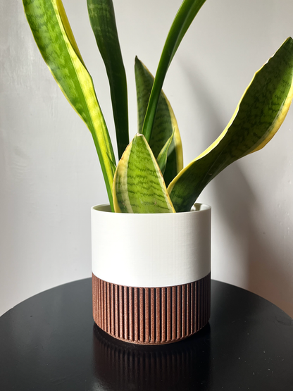 Two-Toned Cedar & Colour Plant Pot | Mid Century Inspired  : Olive / Large