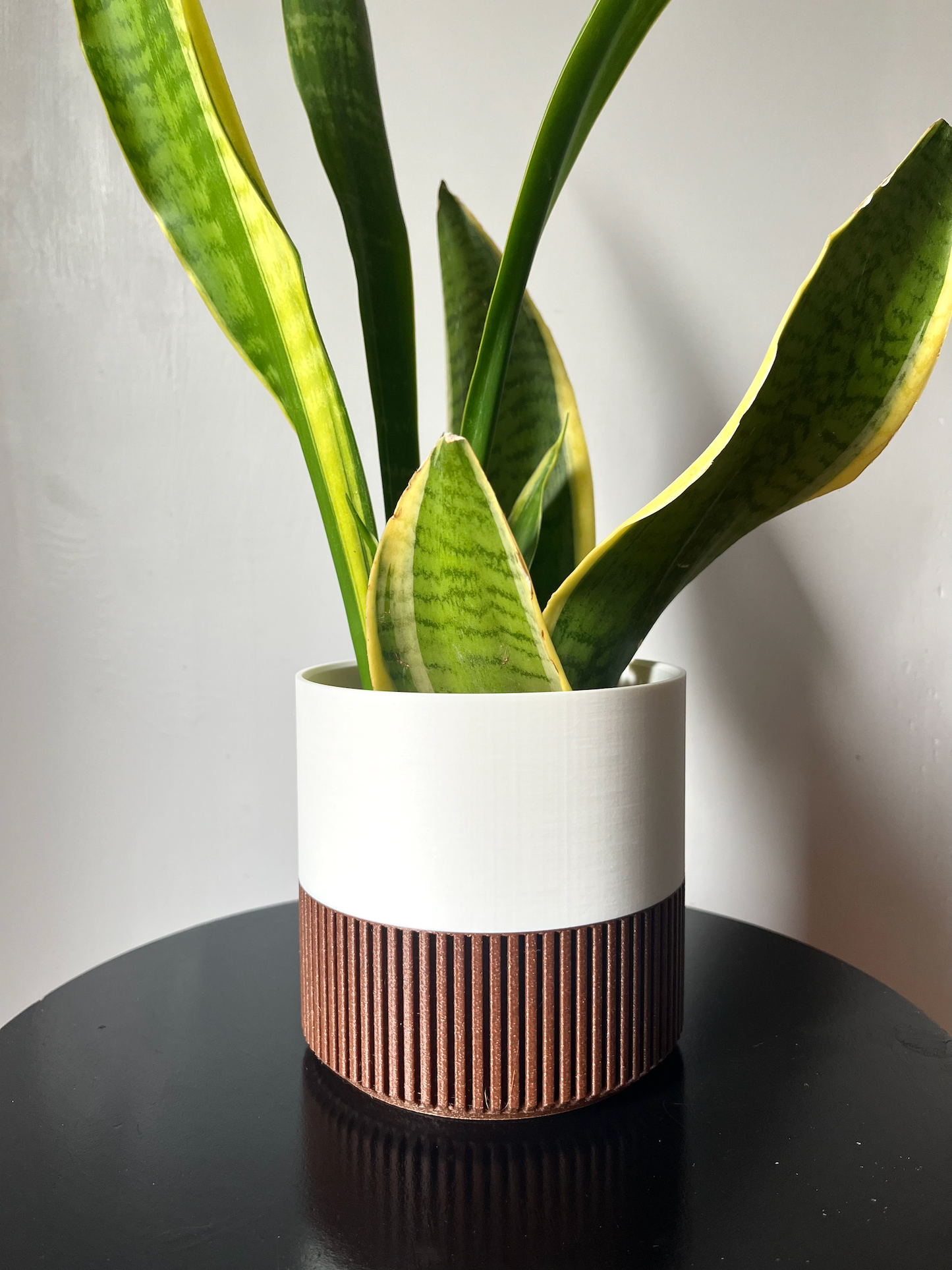 Two-Toned Cedar & Colour Plant Pot | Mid Century Inspired  : Rust / Medium