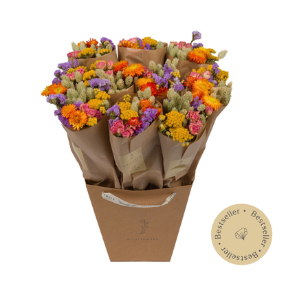 Dried Flowers - Market More - Multi