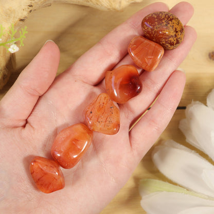 1 lb. Carnelian Tumbled Stones (Grade A)