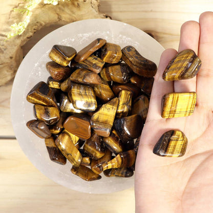 1 lb Tiger Eye Tumbled Stones