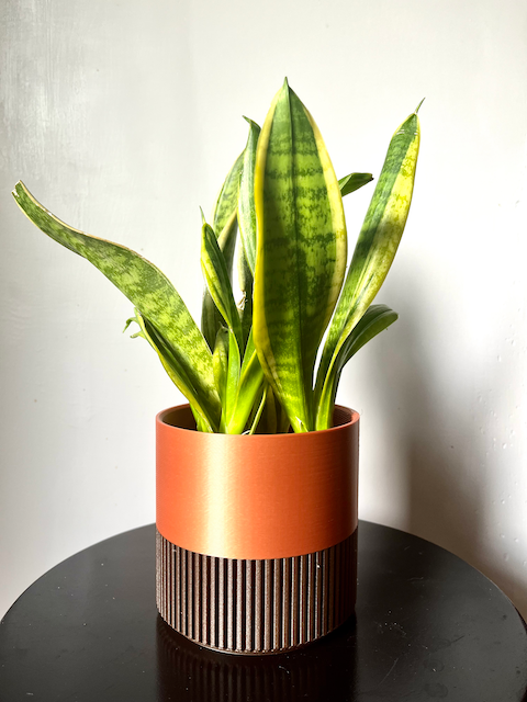 Two-Toned Cedar & Colour Plant Pot | Mid Century Inspired  : Rust / Medium
