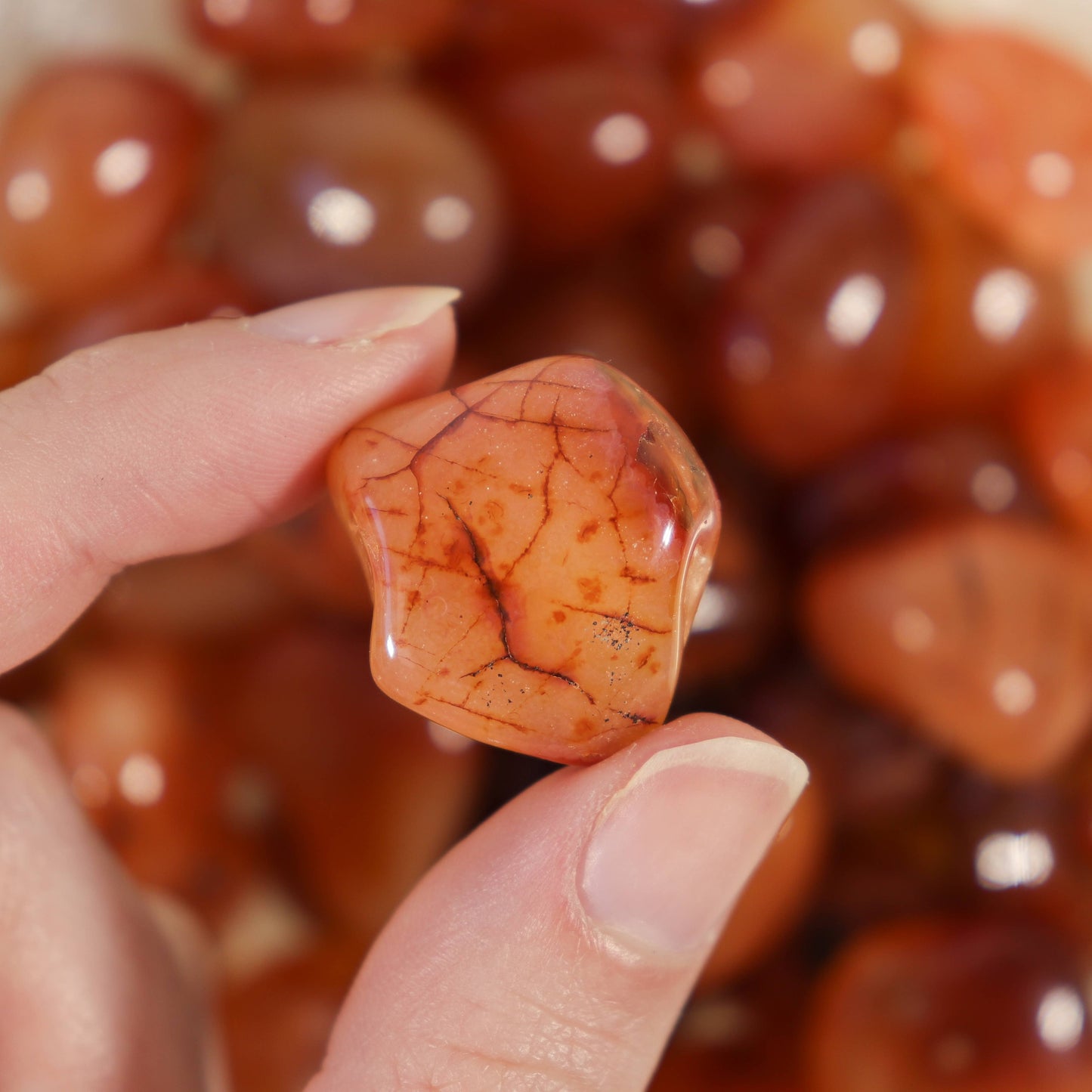 1 lb. Carnelian Tumbled Stones (Grade A)