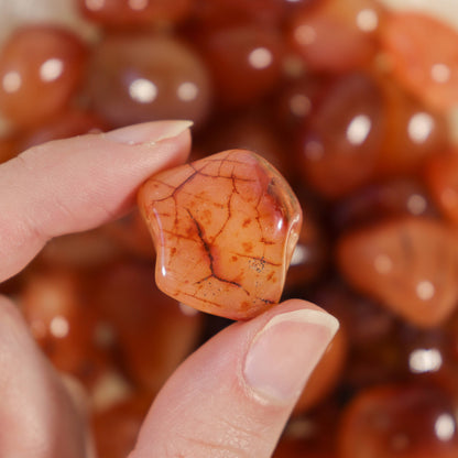 1 lb. Carnelian Tumbled Stones (Grade A)