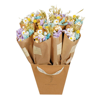 Dried Flowers Market More - Pastel Delight