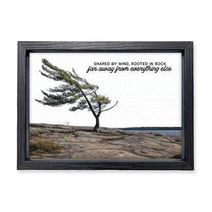 Shaped By Wind | Wood Sign: 14x10