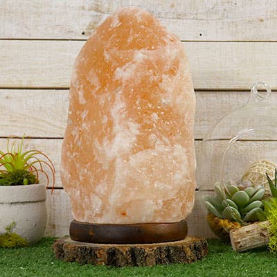 XL Himalayan Salt Crystal Lamp