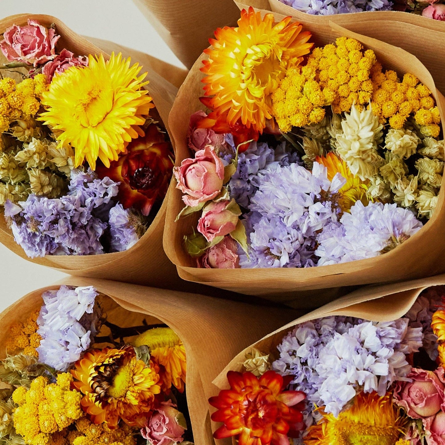 Dried Flowers - Market More - Multi