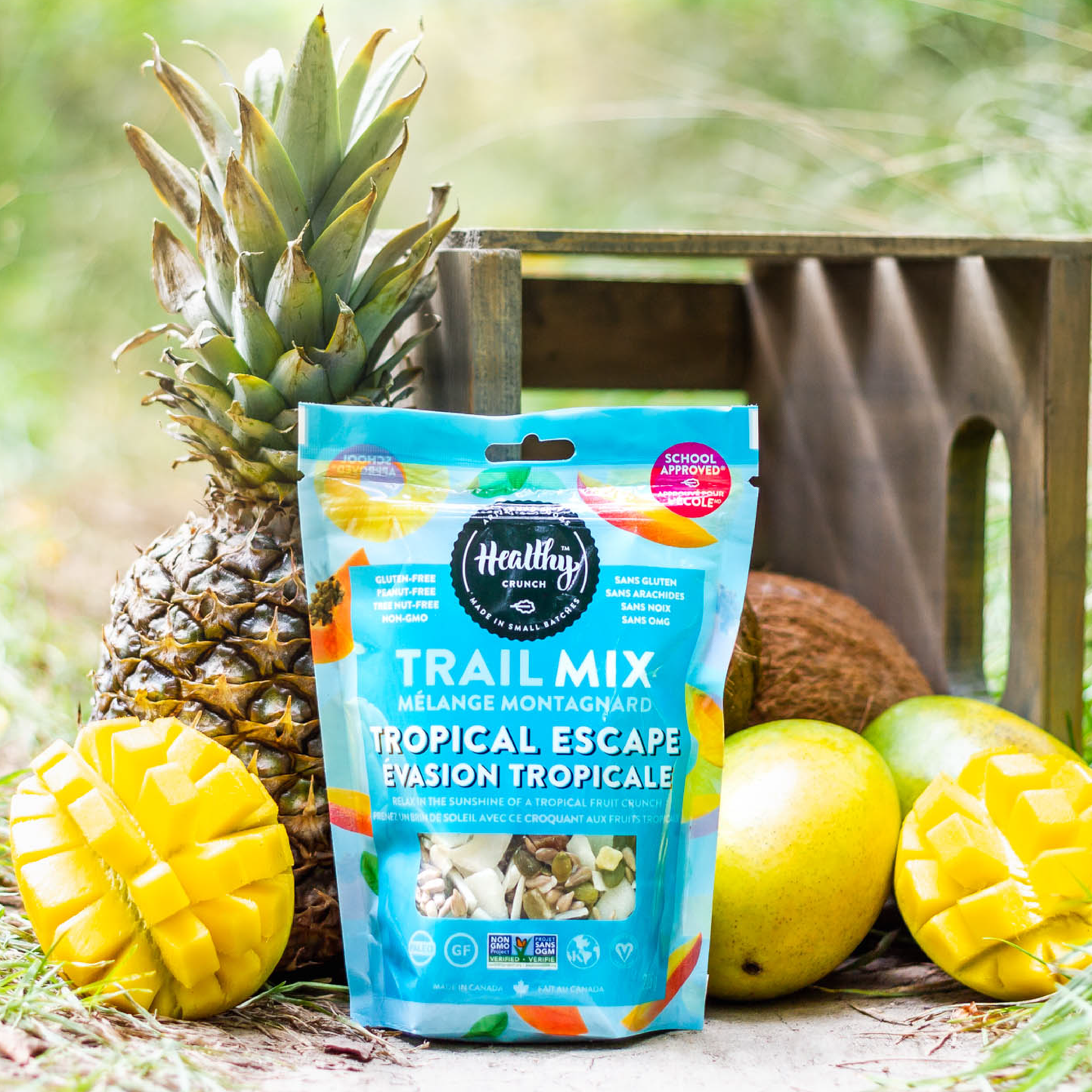 Tropical Escape Trail Mix: 6-Pack