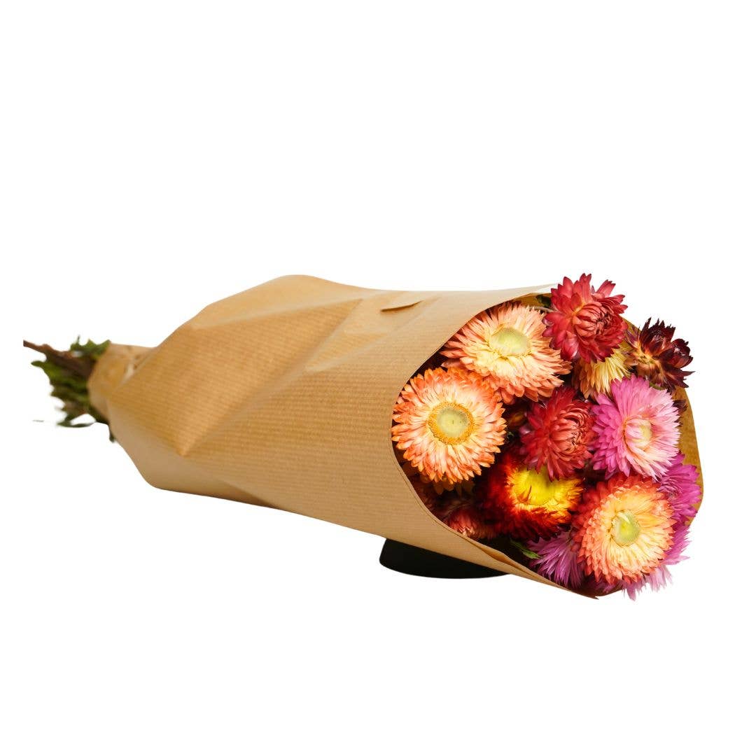 Dried Flowers – Helichrysum Natural