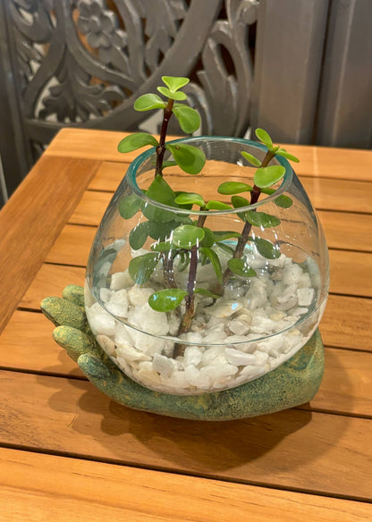 Open Hand Terrarium: Grey