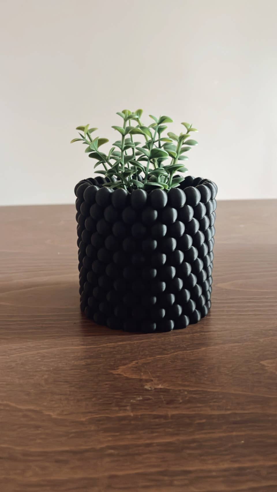 Bubble Texture Orb Planter: Mid-Century Modern Plant Pot: Cedar / Large