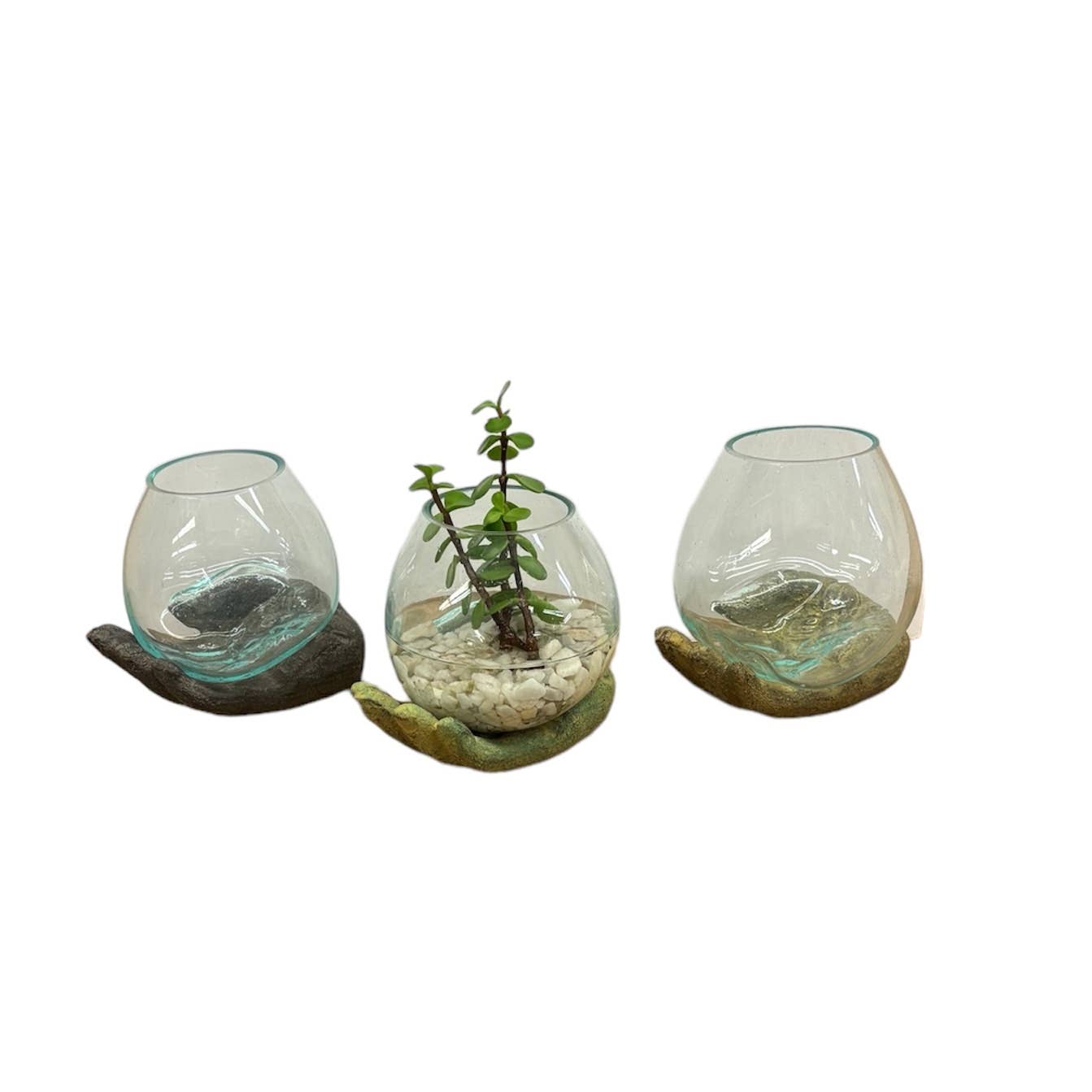 Open Hand Terrarium: Green