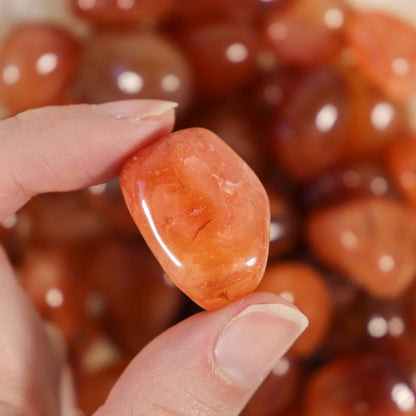 1 lb. Carnelian Tumbled Stones (Grade A)