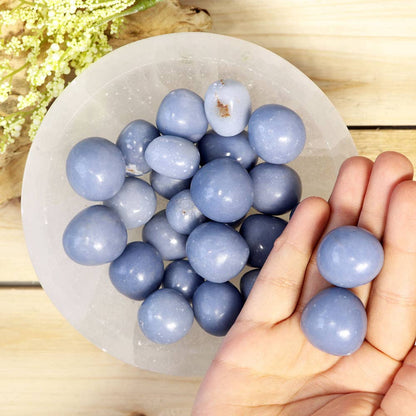 Angelite Tumbled Stones