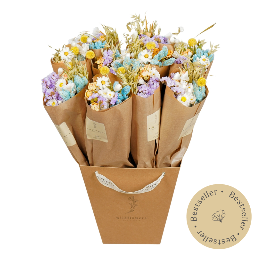 Dried Flowers Market More - Pastel Delight