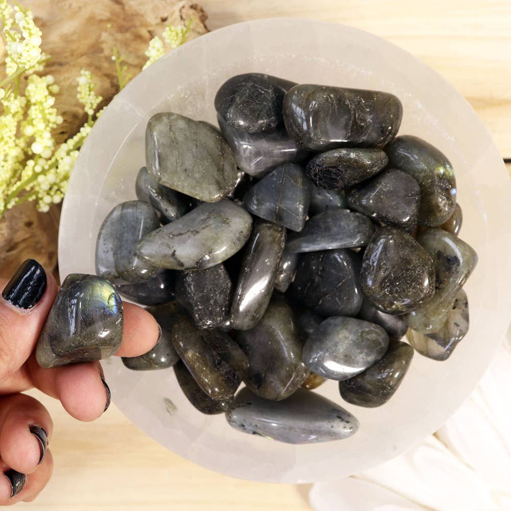 1 lb Labradorite Tumbled Stones