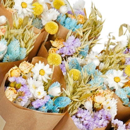 Dried Flowers Market More - Pastel Delight