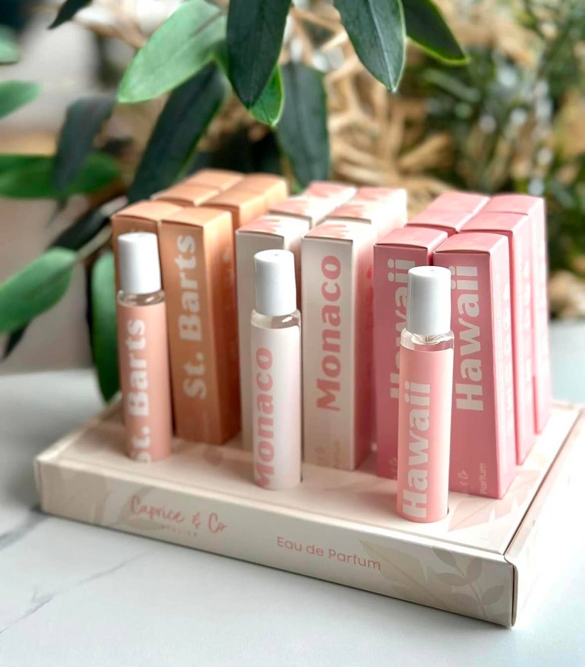 PAPER DISPLAY for roll ons