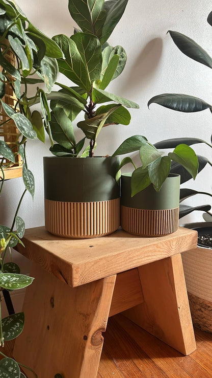 Two-toned Wood & Colour (Olive) Plant Pot : Olive / Large