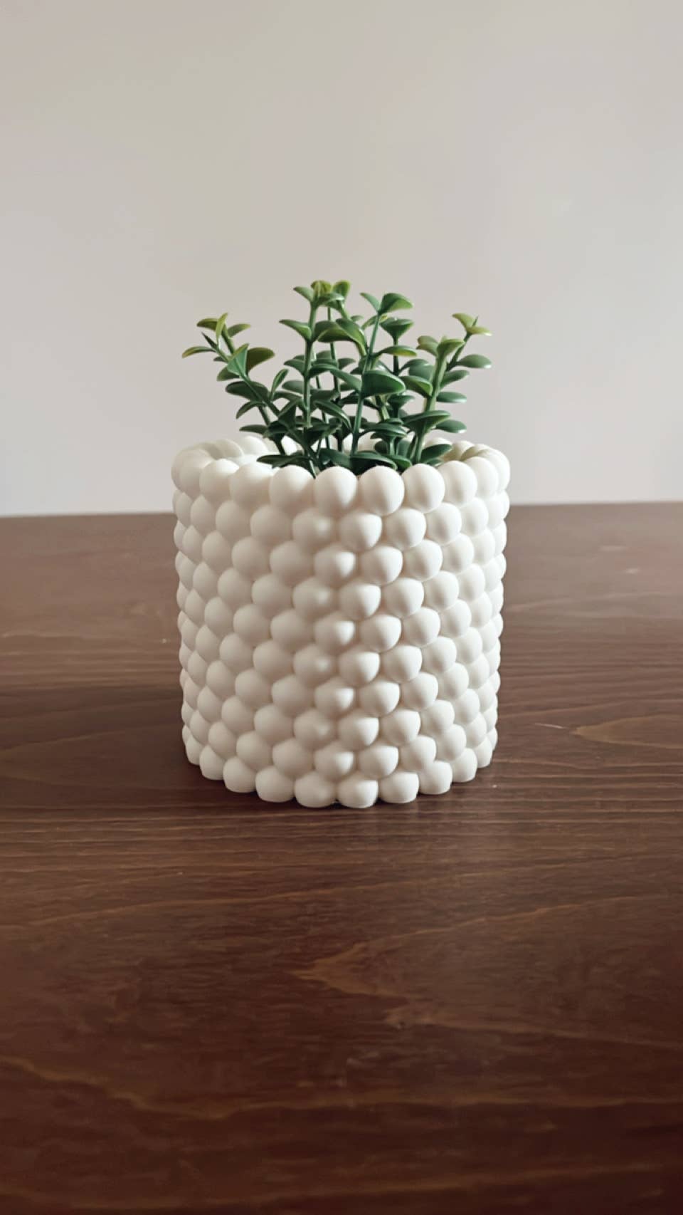 Bubble Texture Orb Planter: Mid-Century Modern Plant Pot: Cedar / Medium