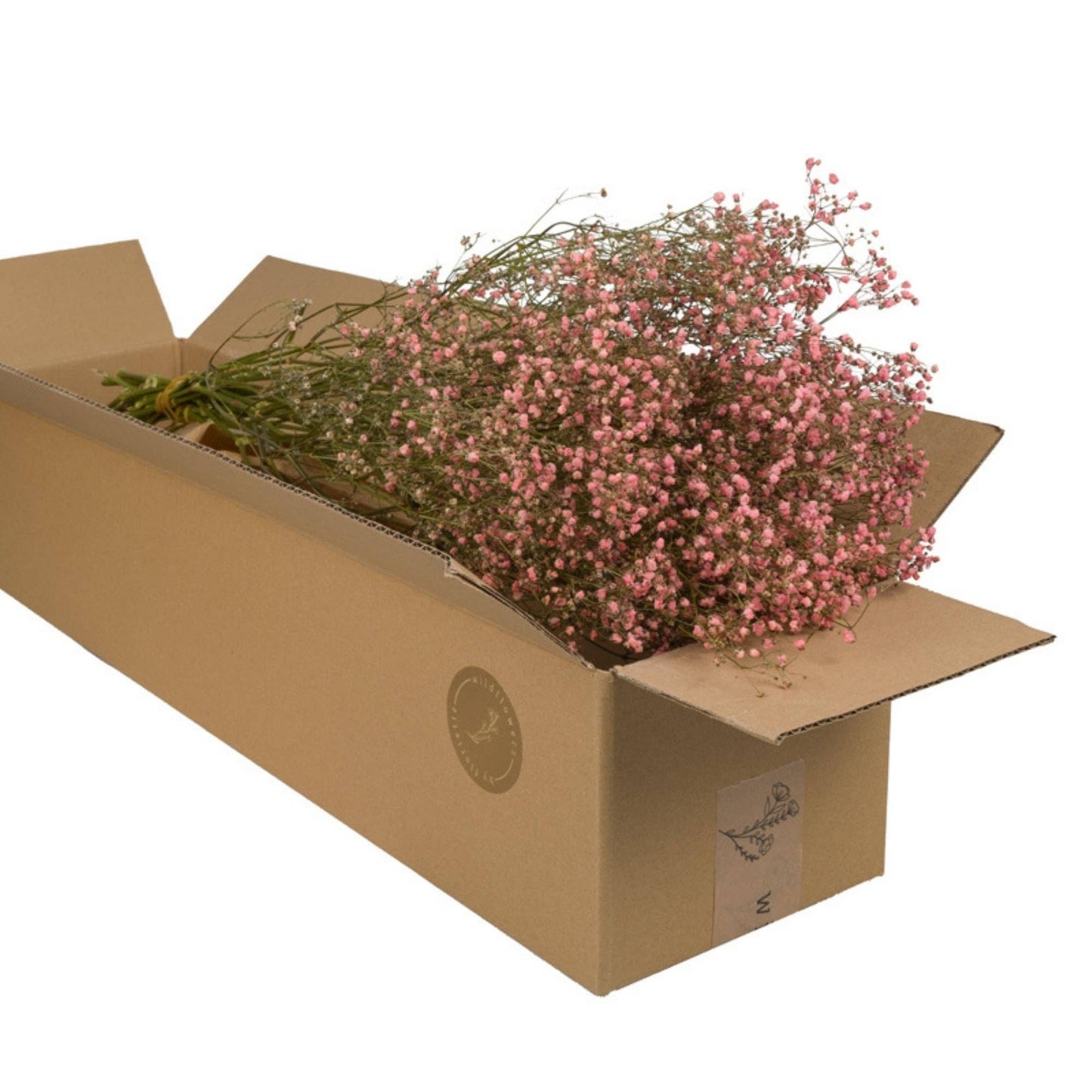 Dried Flowers - Gypsophilia Pink Pastel - 5 Vote
