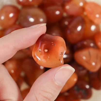 1 lb. Carnelian Tumbled Stones (Grade A)