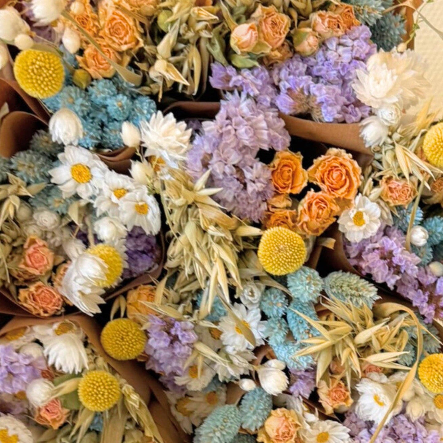 Dried Flowers Market More - Pastel Delight
