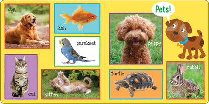 My First 101 WORDS Board Book