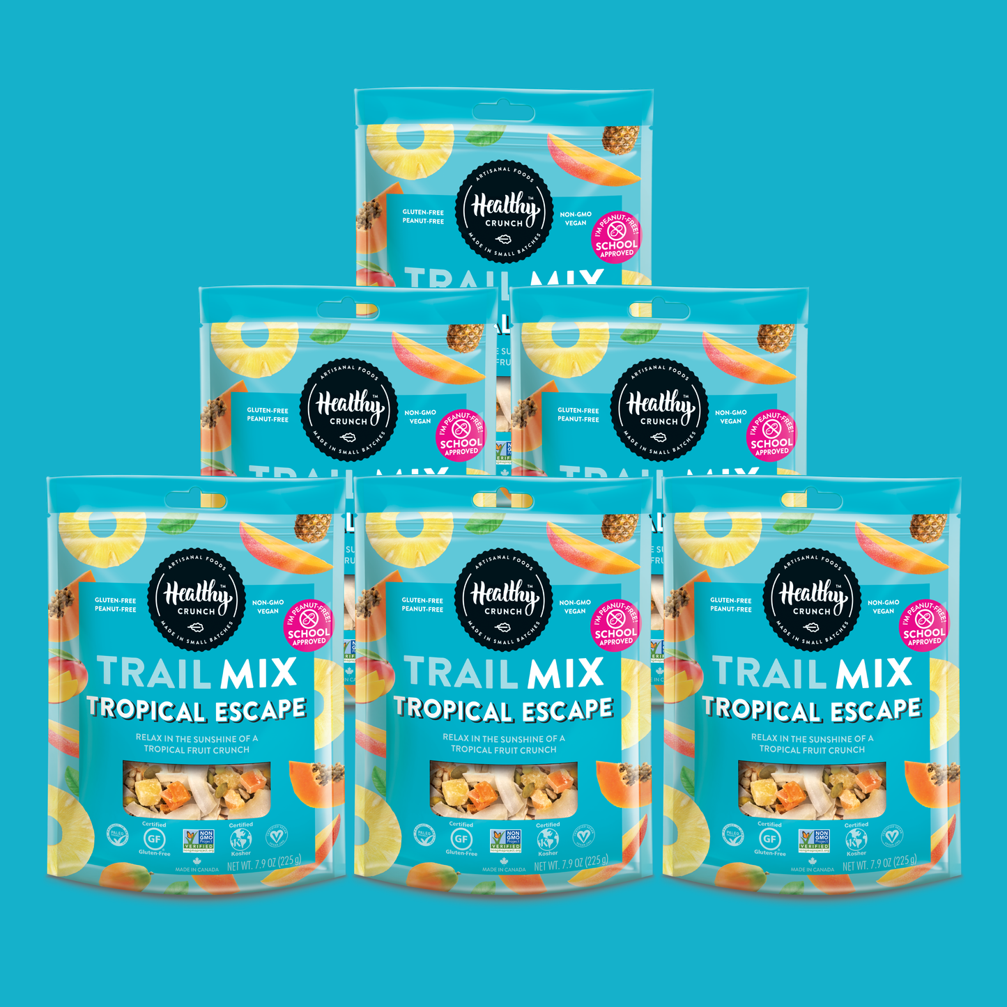 Tropical Escape Trail Mix: 6-Pack