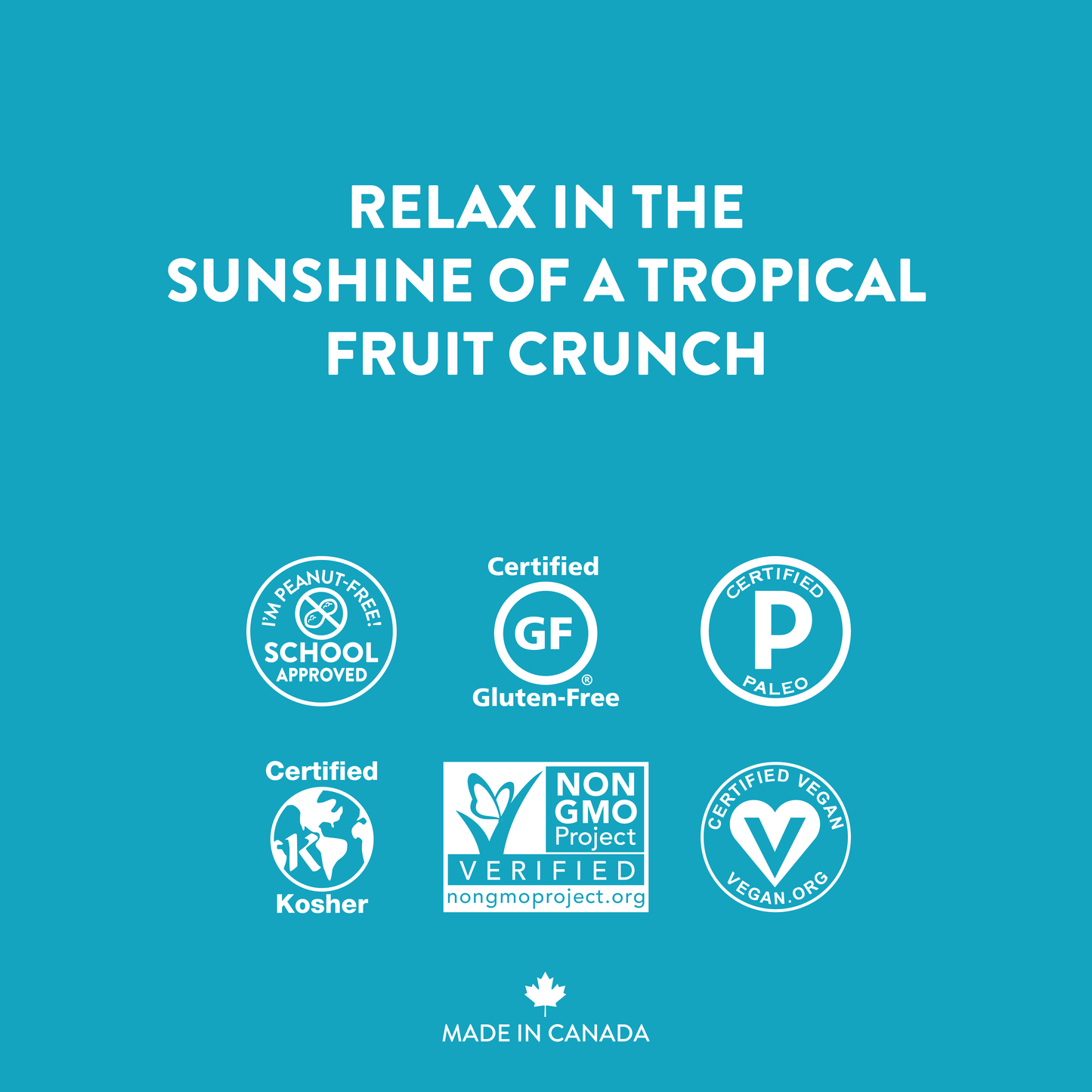 Tropical Escape Trail Mix: 6-Pack