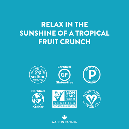 Tropical Escape Trail Mix: 6-Pack