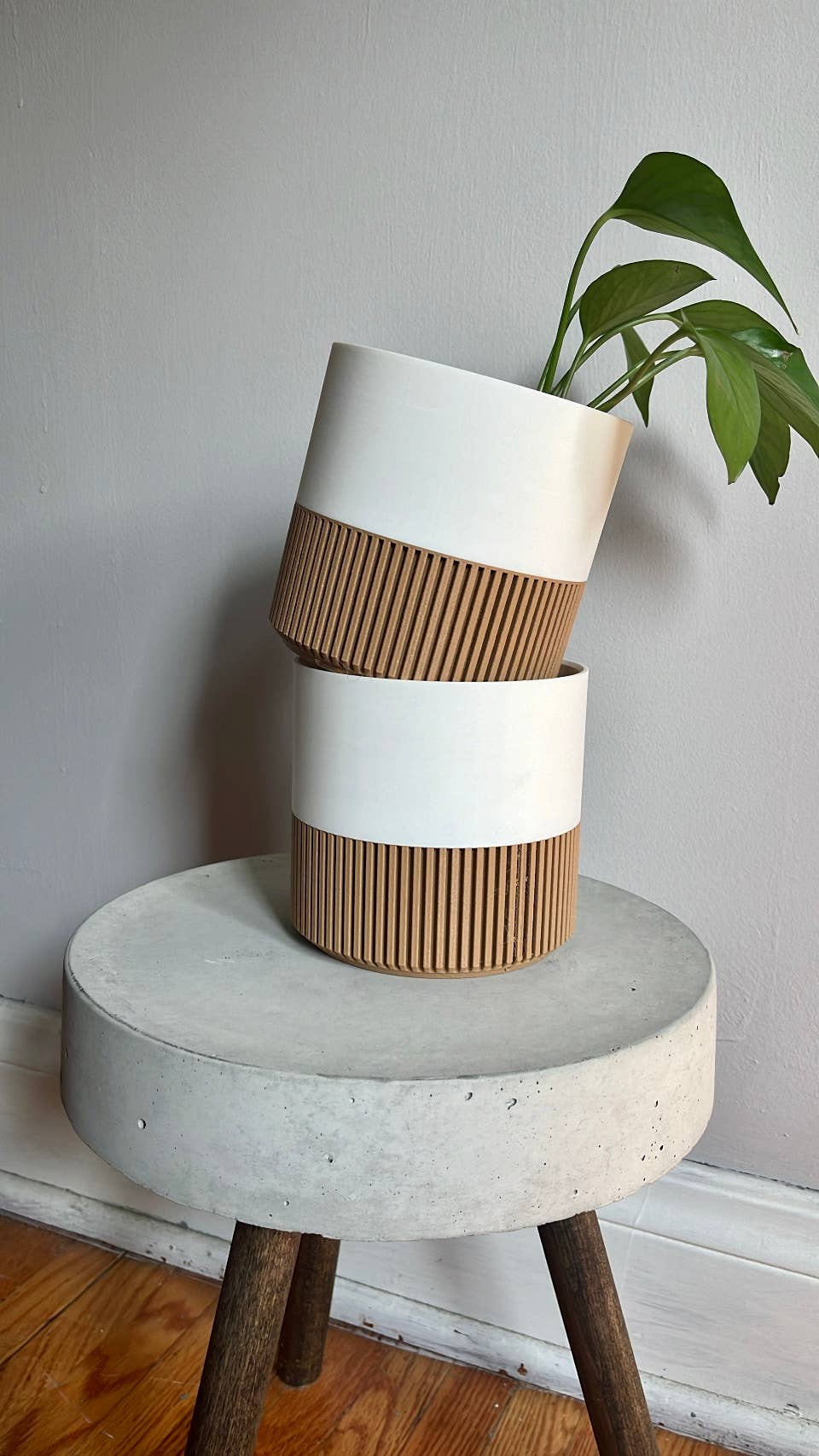 Two-toned Wood & Colour (Olive) Plant Pot : Olive / Small