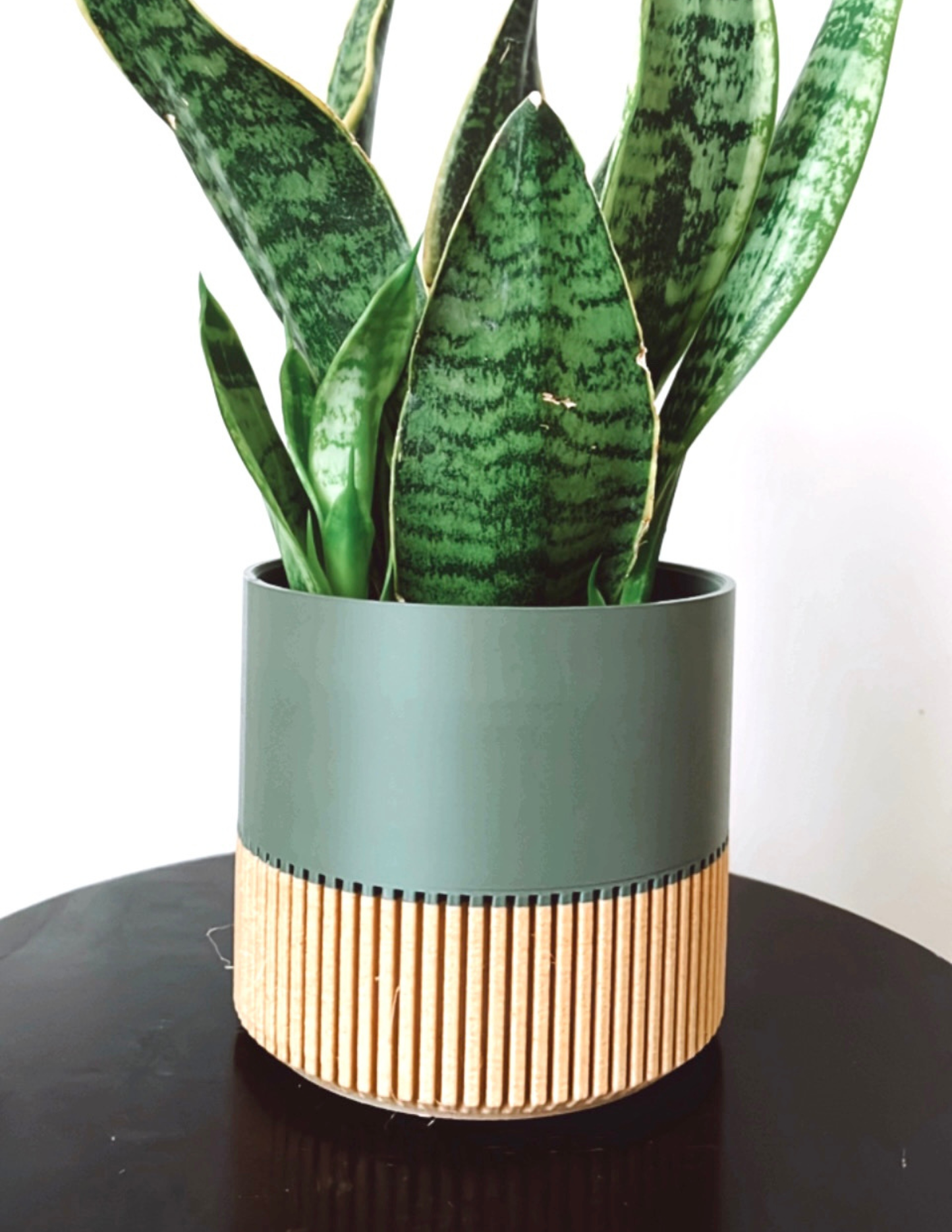 Two-toned Wood & Colour (Olive) Plant Pot : Olive / Small