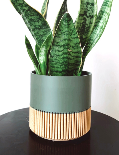 Two-toned Wood & Colour (Olive) Plant Pot : Olive / Small