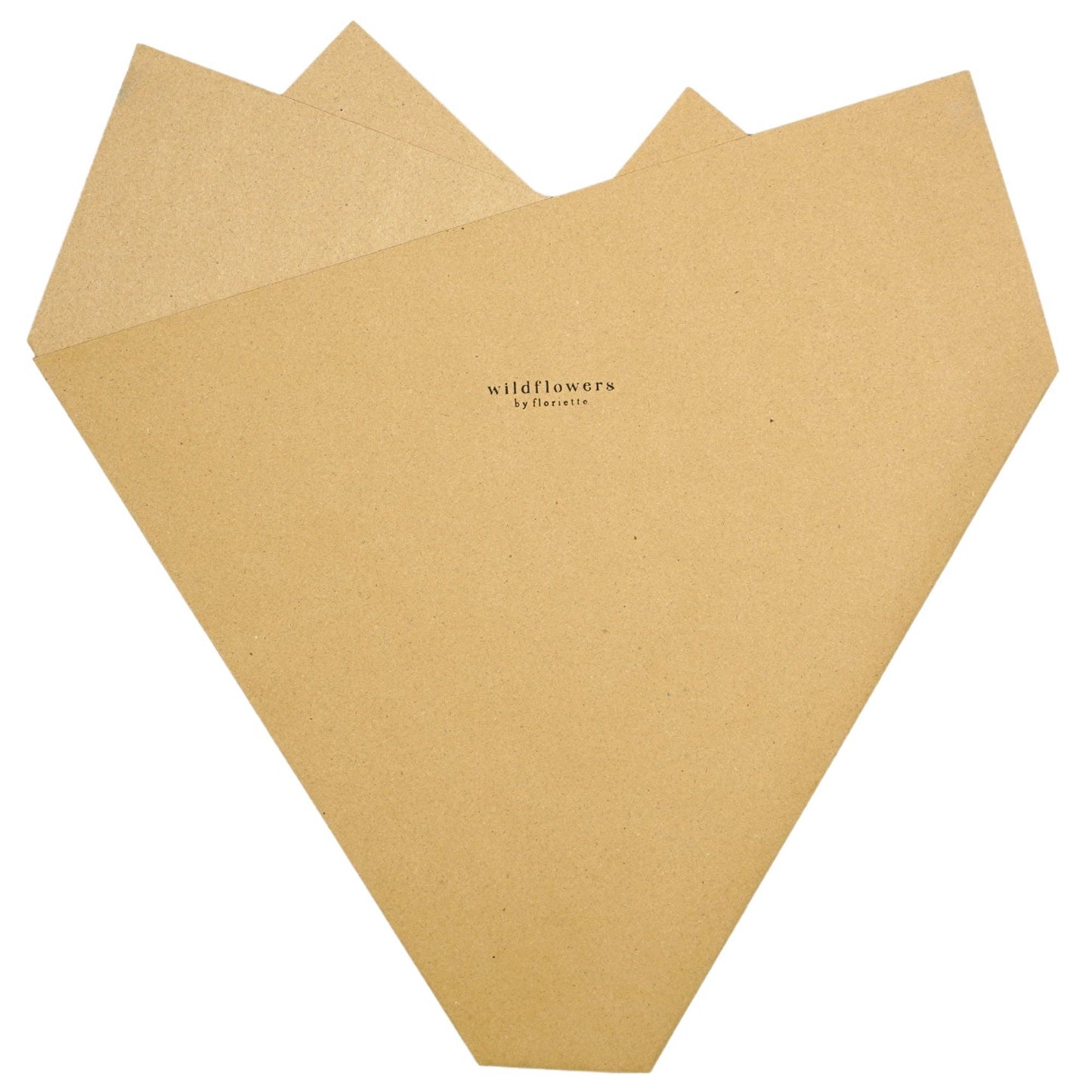 Dried Flowers - Kraft Paper Sleeves: Medium