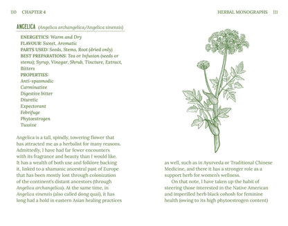 Herbalism (Arcturus Hidden Knowledge)
