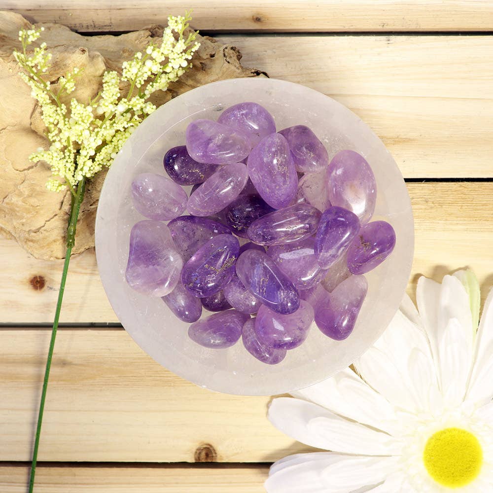 1 lb Amethyst Tumbled Stones