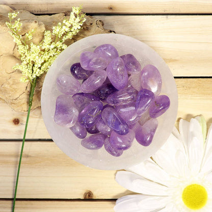 1 lb Amethyst Tumbled Stones