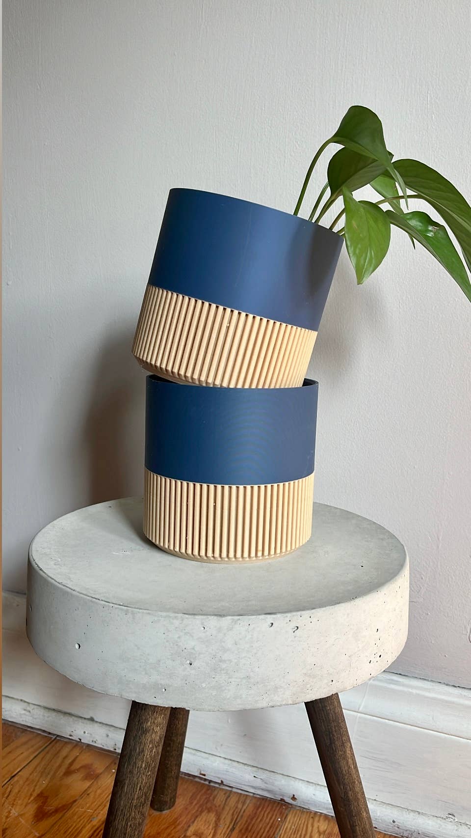 Two-toned Wood & Colour (Olive) Plant Pot : Olive / Large