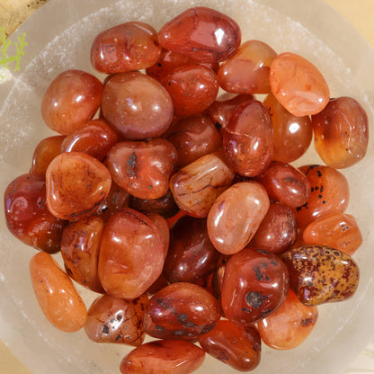 1 lb. Carnelian Tumbled Stones (Grade A)