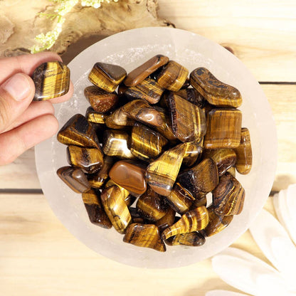 1 lb Tiger Eye Tumbled Stones