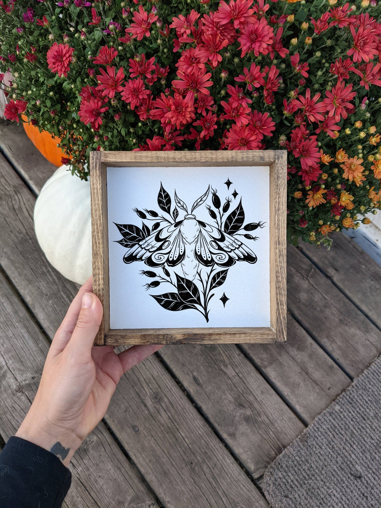 Moth Framed Print: White
