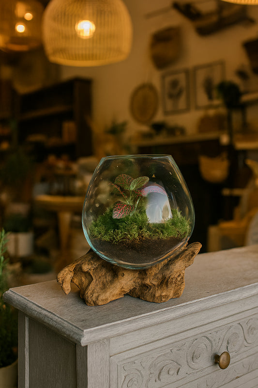 Mini Glass Terrarium on Wood (approx. 6" x 5" x 5")