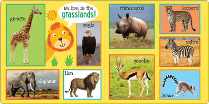 My First 101 ANIMALS Board Book