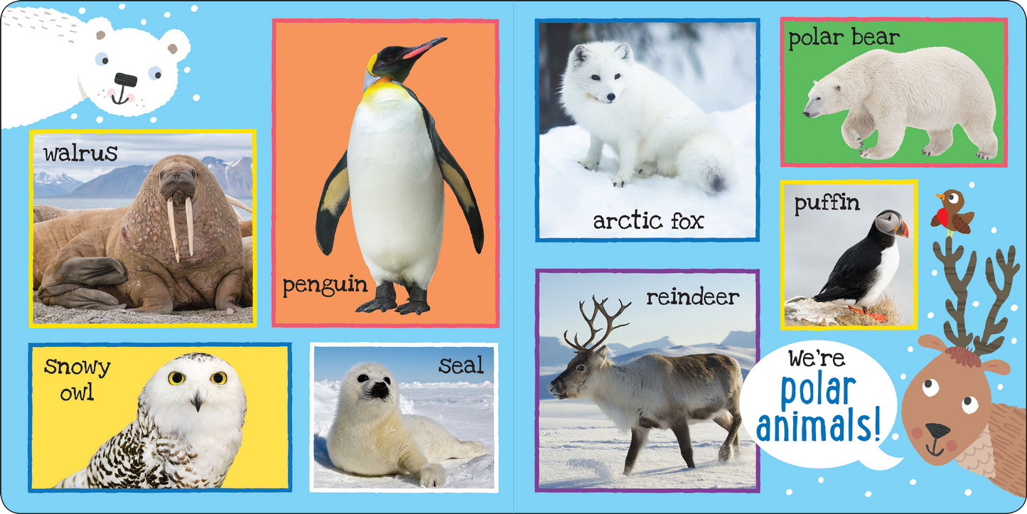 My First 101 ANIMALS Board Book